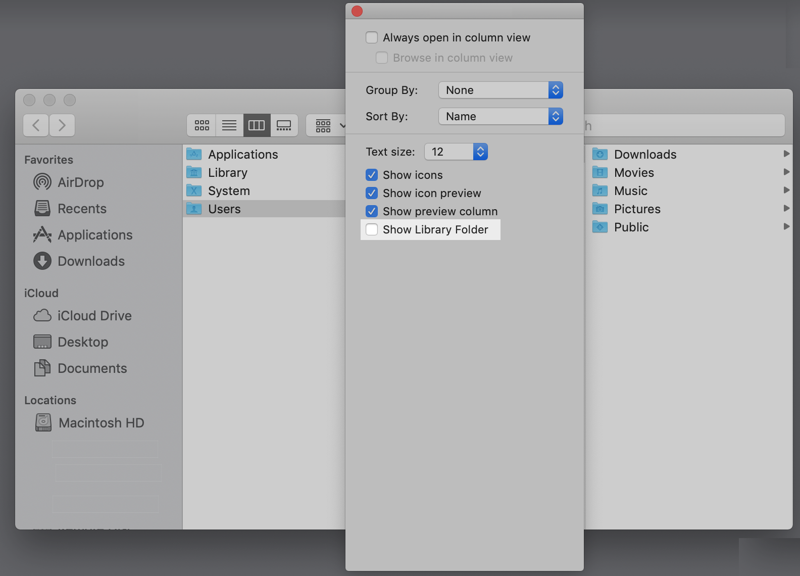 Check the Show Library Folder checkbox